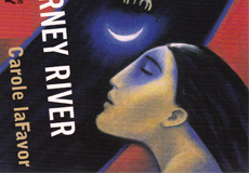 Along The Journey River