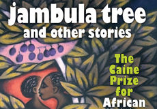  Jambula Tree And Other Stories